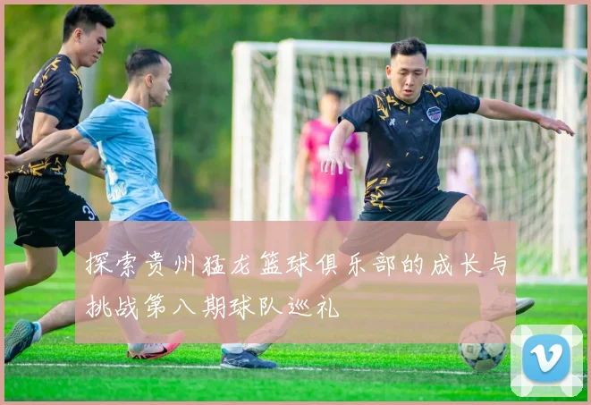 探索贵州猛龙篮球俱乐部的成长与挑战第八期球队巡礼