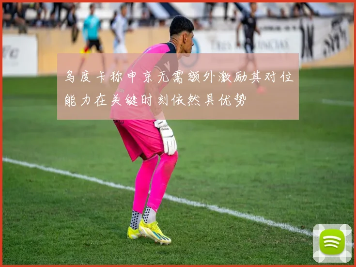 乌度卡称申京无需额外激励其对位能力在关键时刻依然具优势