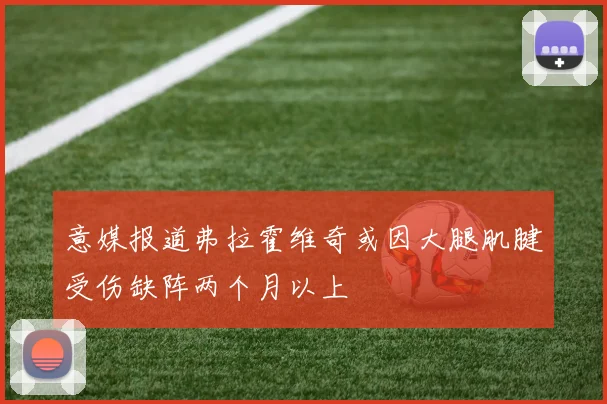 意媒报道弗拉霍维奇或因大腿肌腱受伤缺阵两个月以上
